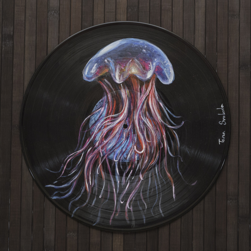 медуза (2).JPG